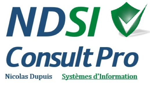 Logo NDSI Consult Pro